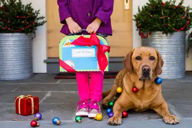A little girl and her dog ready for the holidays.