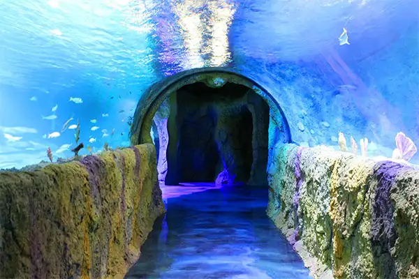 The Sea Life Aquarium at I-Drive 360 in Orlando, Florida.