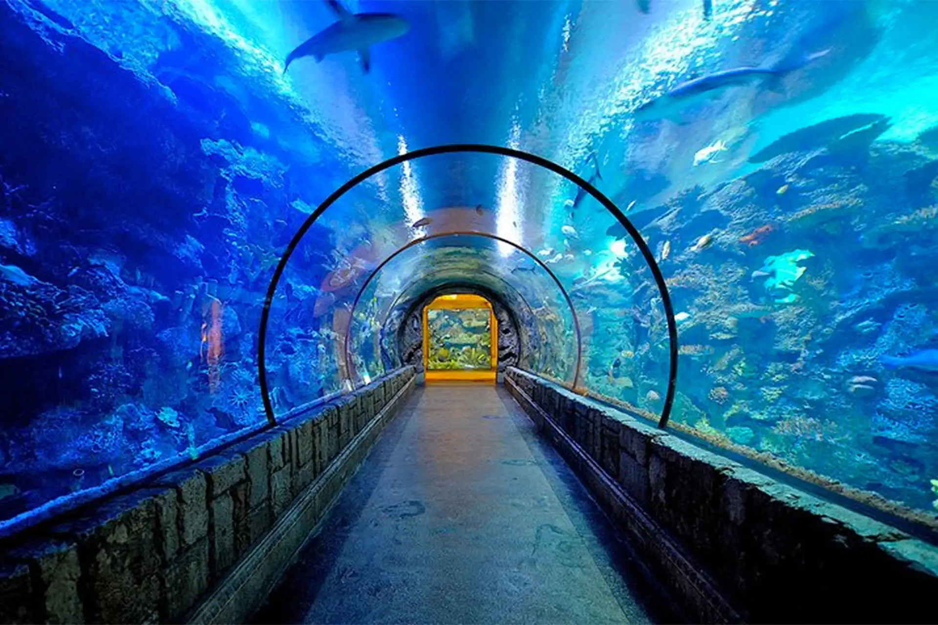 Aquarium at Mandalay Bay Resort & Casino in Las Vegas