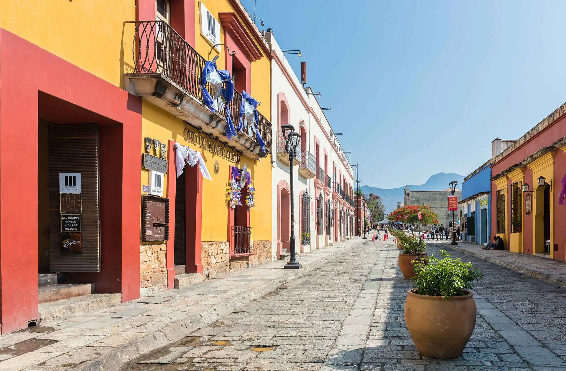 Street scene in Oaxaca; Photo Courtesy of Angelina Pilarinos /Shutterstock.com