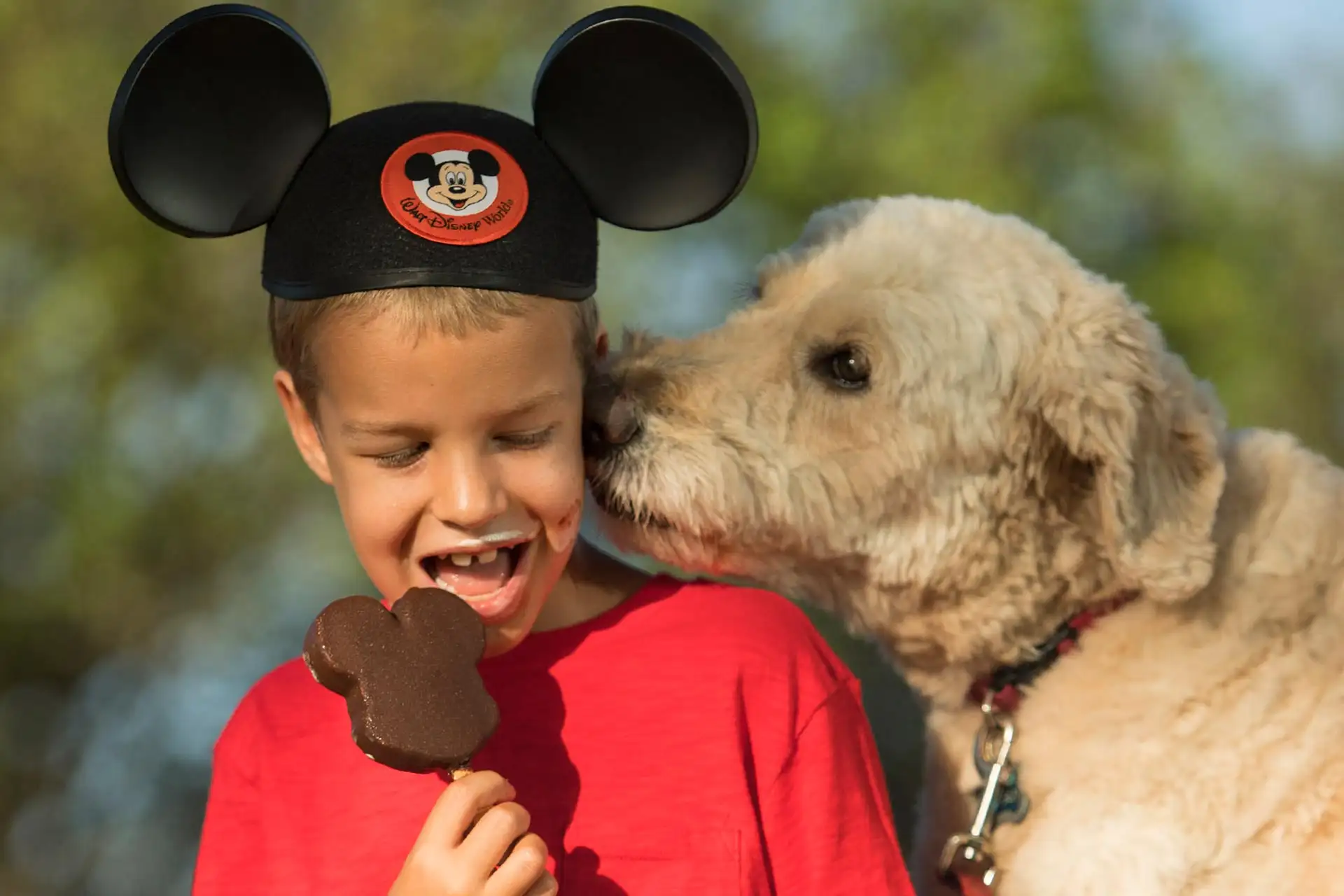 A new dog-friendly policy is coming to select Disney World Resort Hotels in Florida.