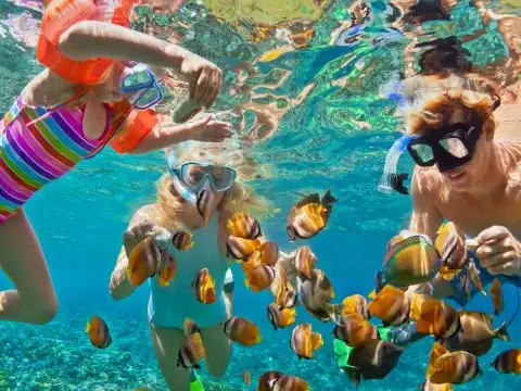 Family Snorkeling with Fish; Courtesy of Tropical Studio/Shutterstock.com