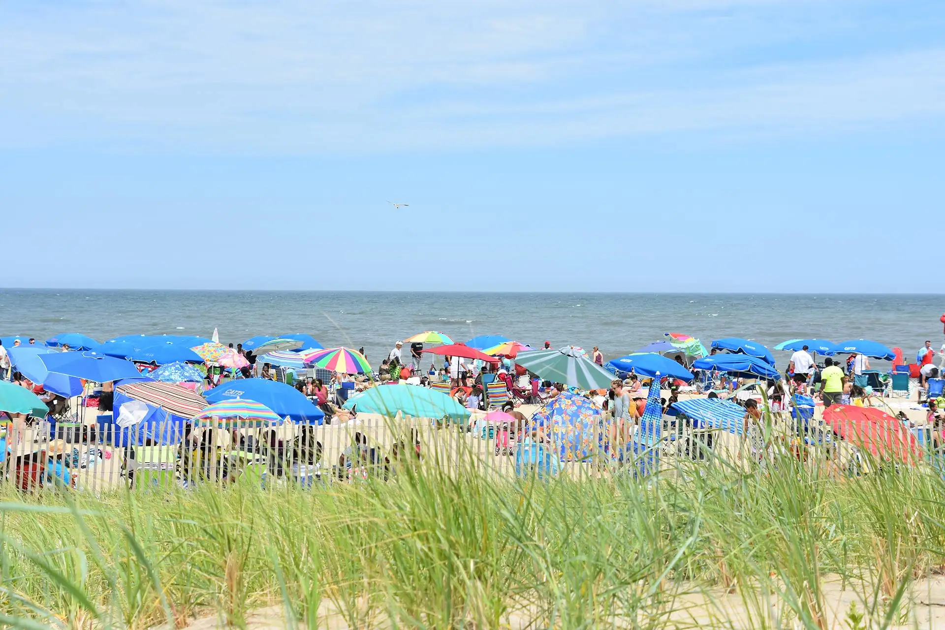 Rehoboth Beach, Delaware; Photo Courtesy of Ritu Manoj Jethani/Shutterstock.com