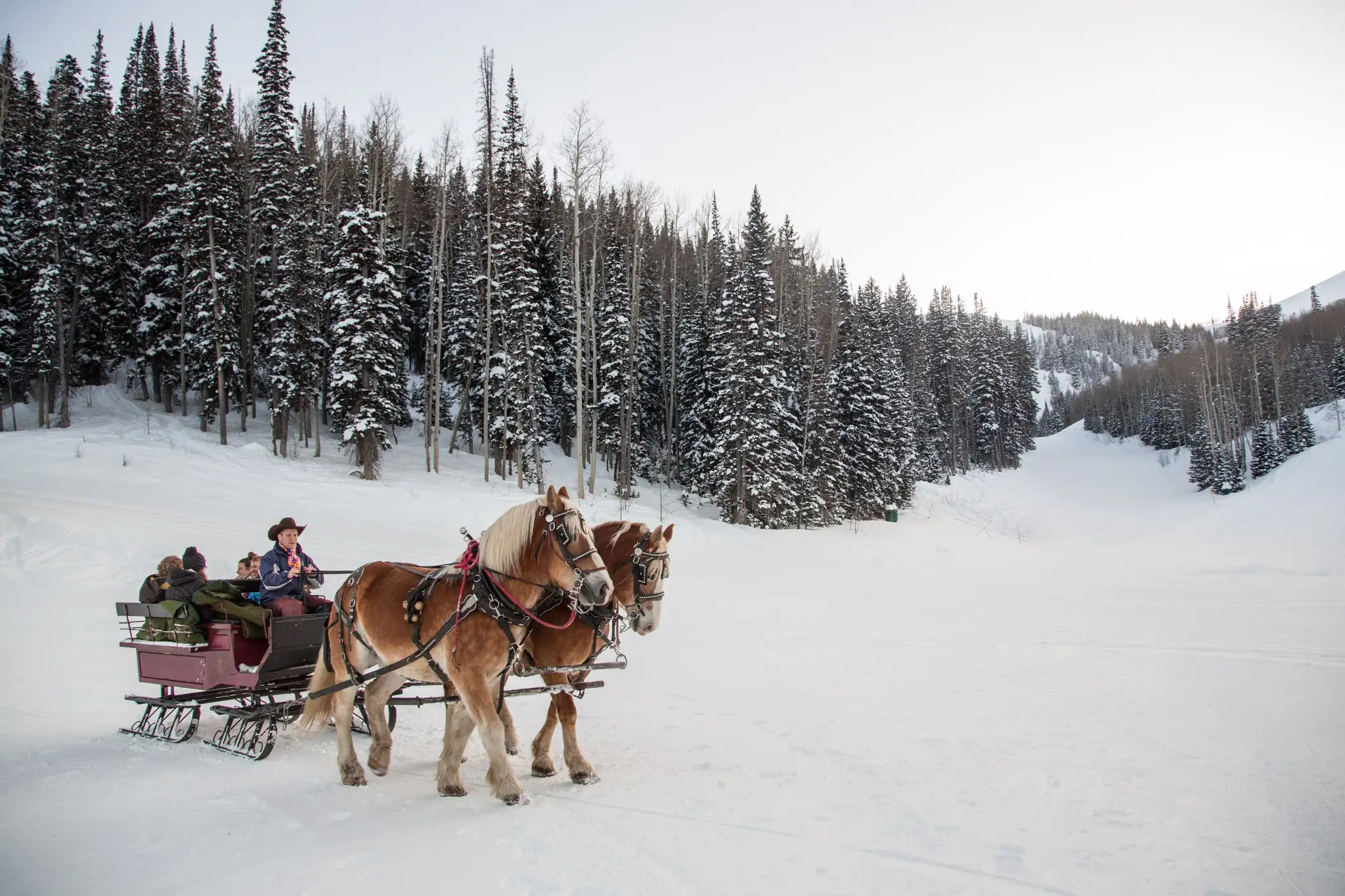 A group of teens enjoying a sleigh ride at Deer Valley Resort in Park City, Utah.