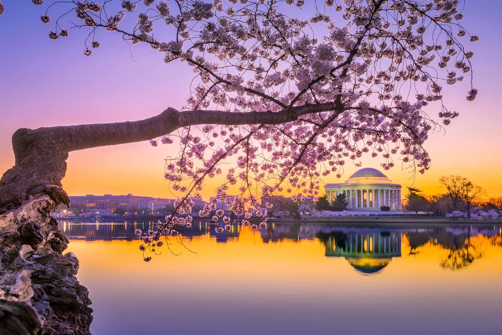 Washington, D.C. at the Jefferson Memorial during spring.
