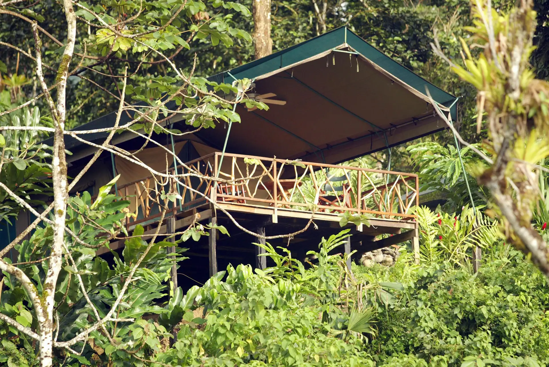 Rafiki Safari Lodge in Costa Rica; Courtesy of Rafiki Safari Lodge