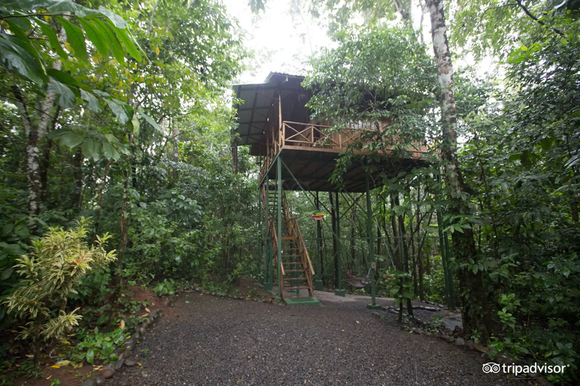 Treehouse at Tree Houses Hotel in Costa Rica; TripAdvisor Expert Photo