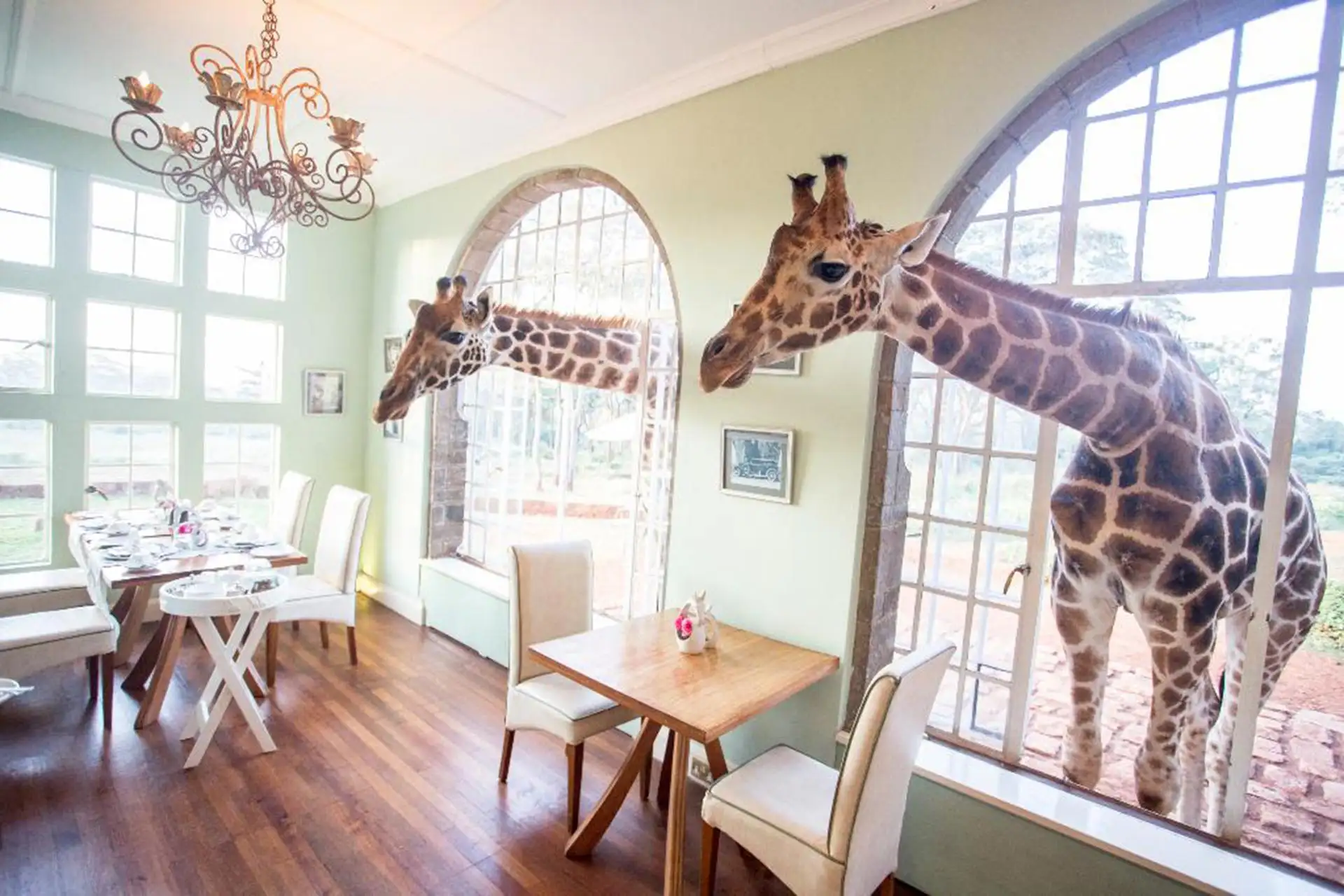 Giraffe Manor; Courtesy of Giraffe Manor