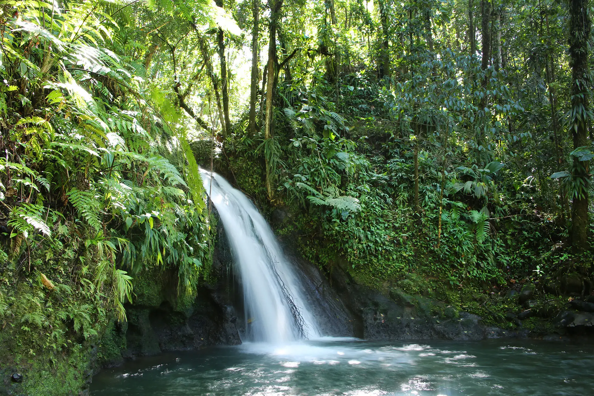 Waterfalls in Guadeloupe