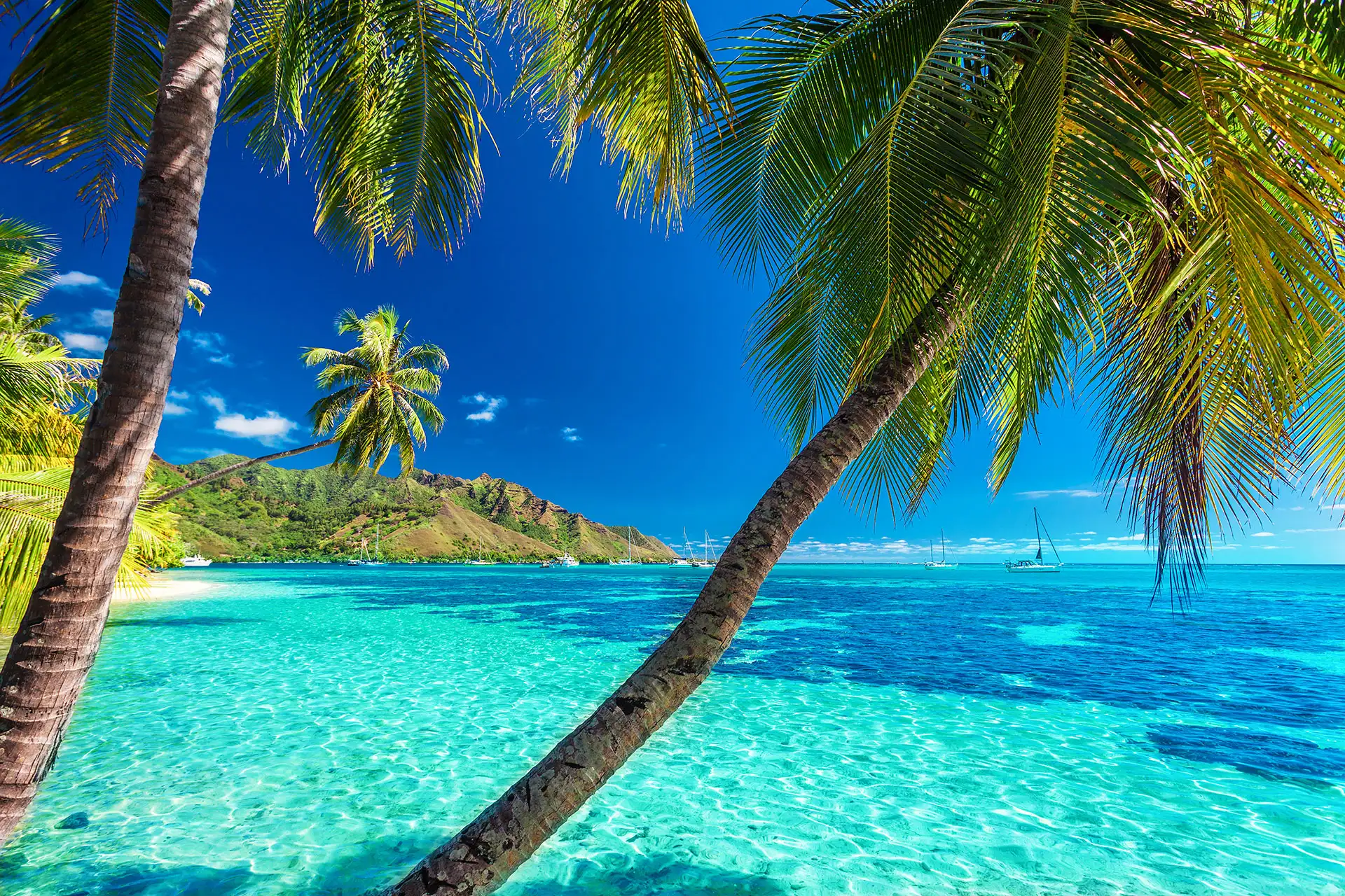 Blue waters in Tahiti