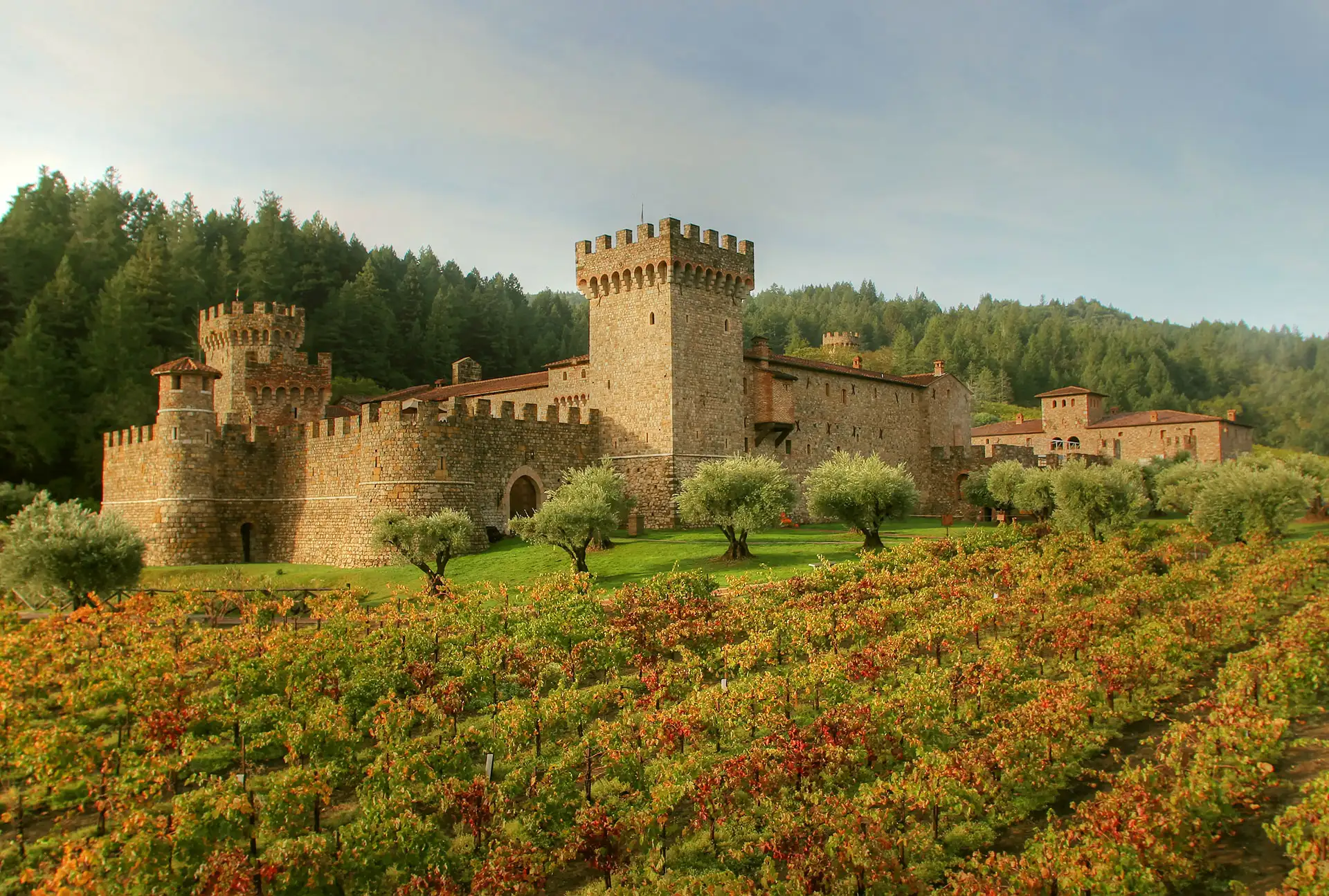 Castello di Amorosa castle exterior and vineyard