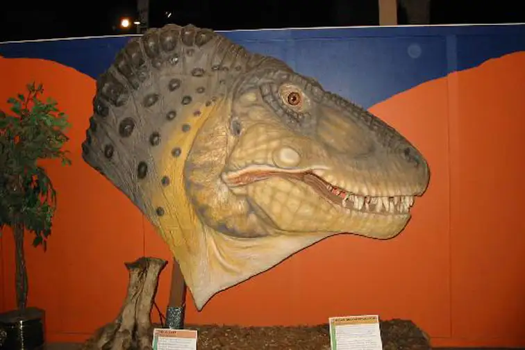 Dinosaur Journey Museum; Courtesy of TripAdvisor Traveler WorryFreePhilly