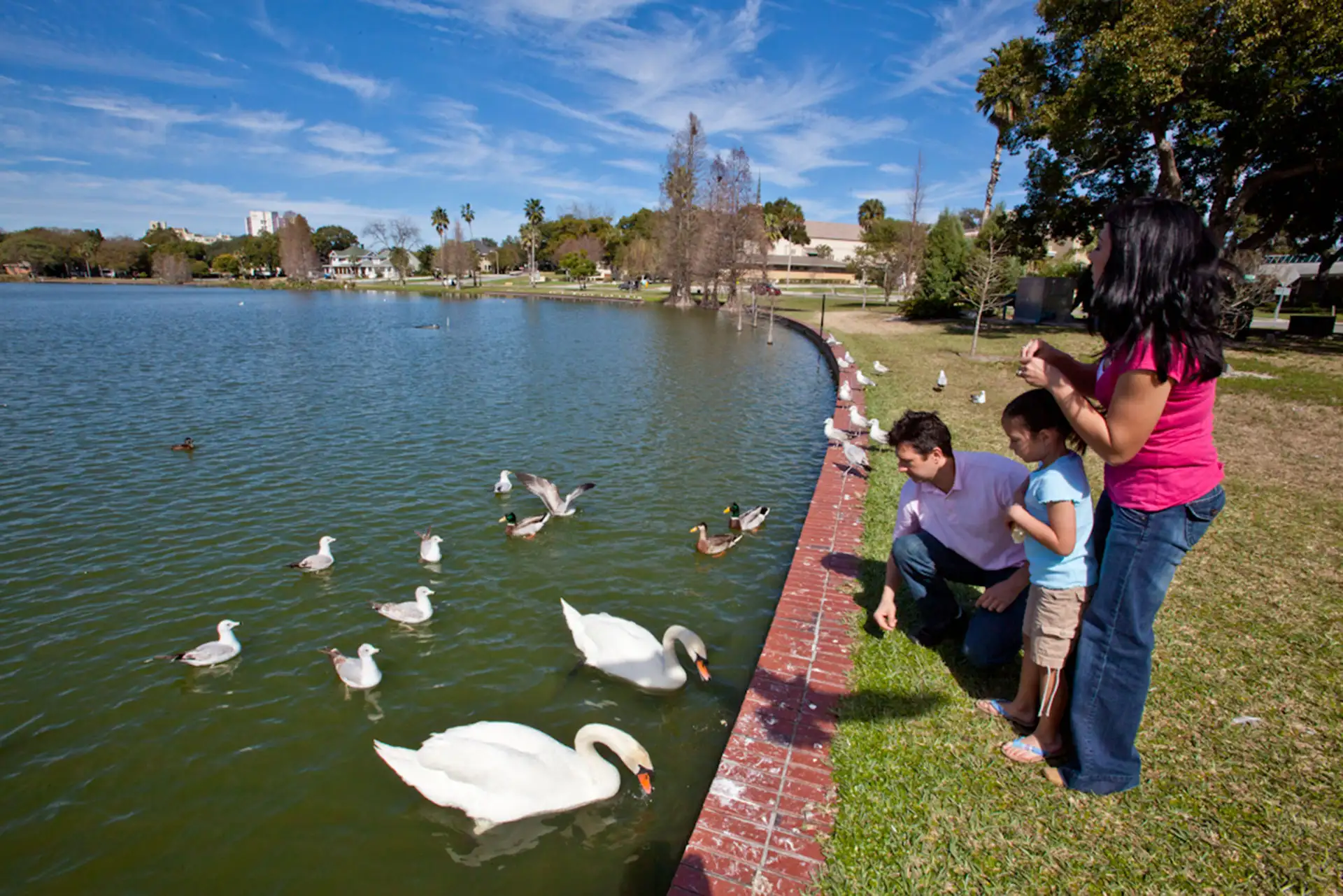Family Feeding Ducks in Lakeland, FL