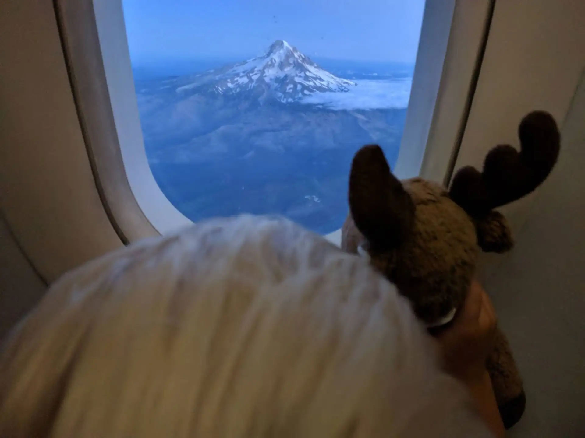 Child looking out airplane window at mountain