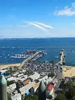dolphin tours provincetown