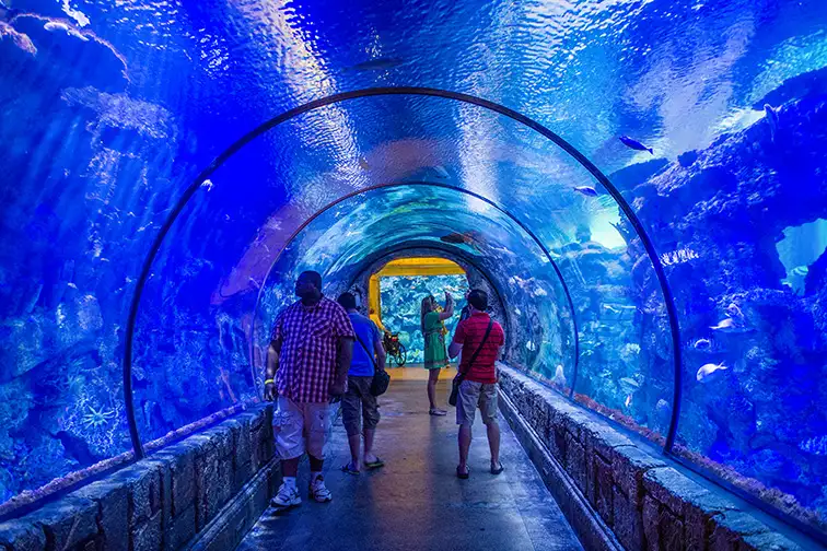 The Shark Reef Aquarium at Mandalay Bay hotel and Casino in Las Vegas; Courtesy of Kobby Dagan/Shutterstock.com