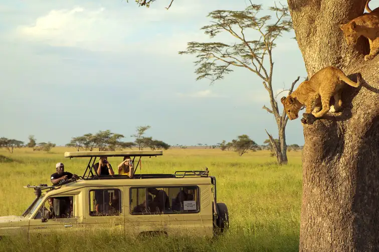  people are inside the car while they enjoy safari trip in the serengeti; Courtesy of zrivoic/Shutterstock