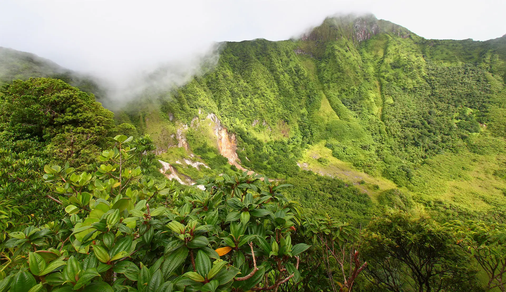 Mount Liamuiga; Courtesy of Jason Patrick Ross/Shutterstock.com