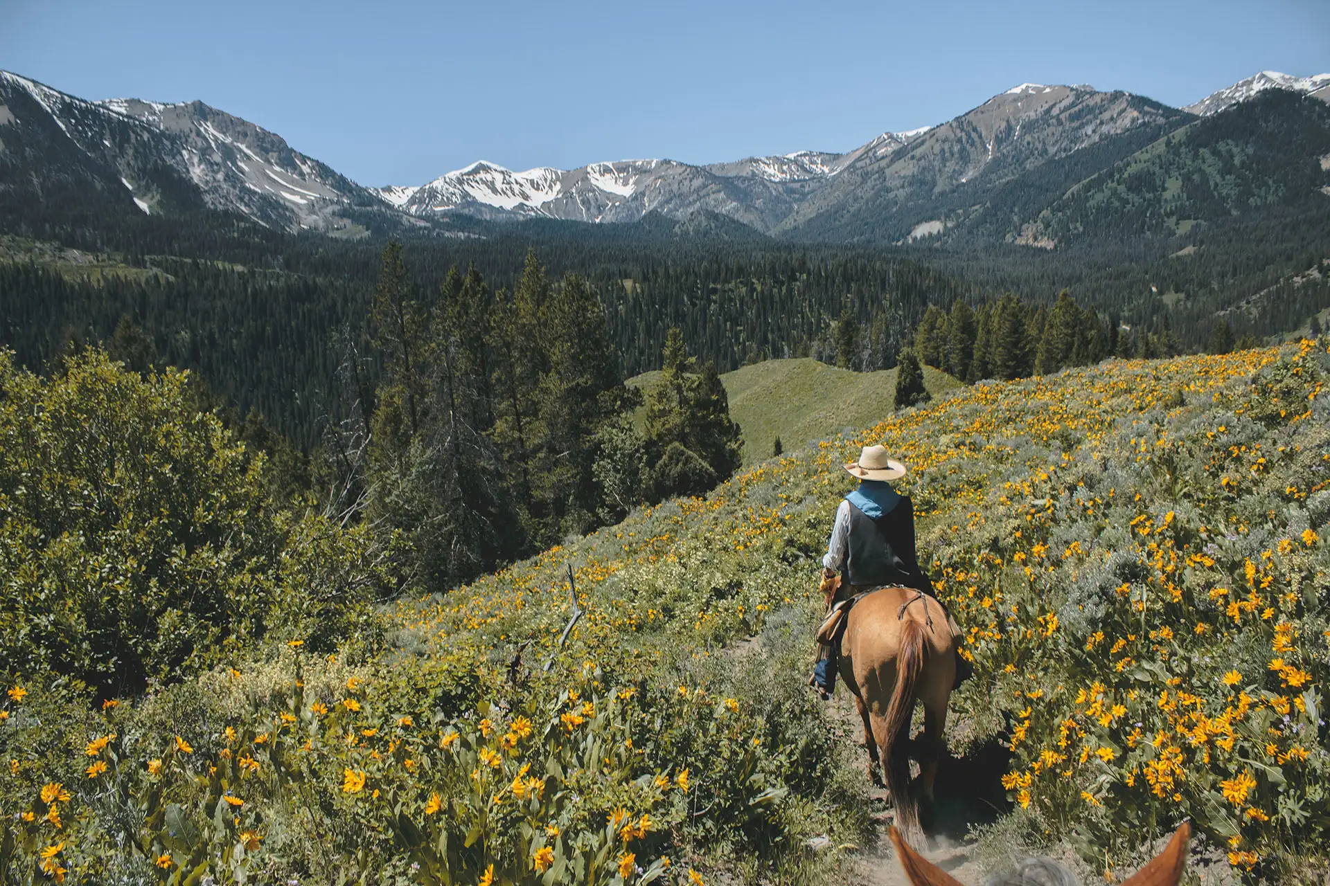 Horseback Riding in Grand Teton National Park; Courtesy of William Shafer/Shutterstock.com