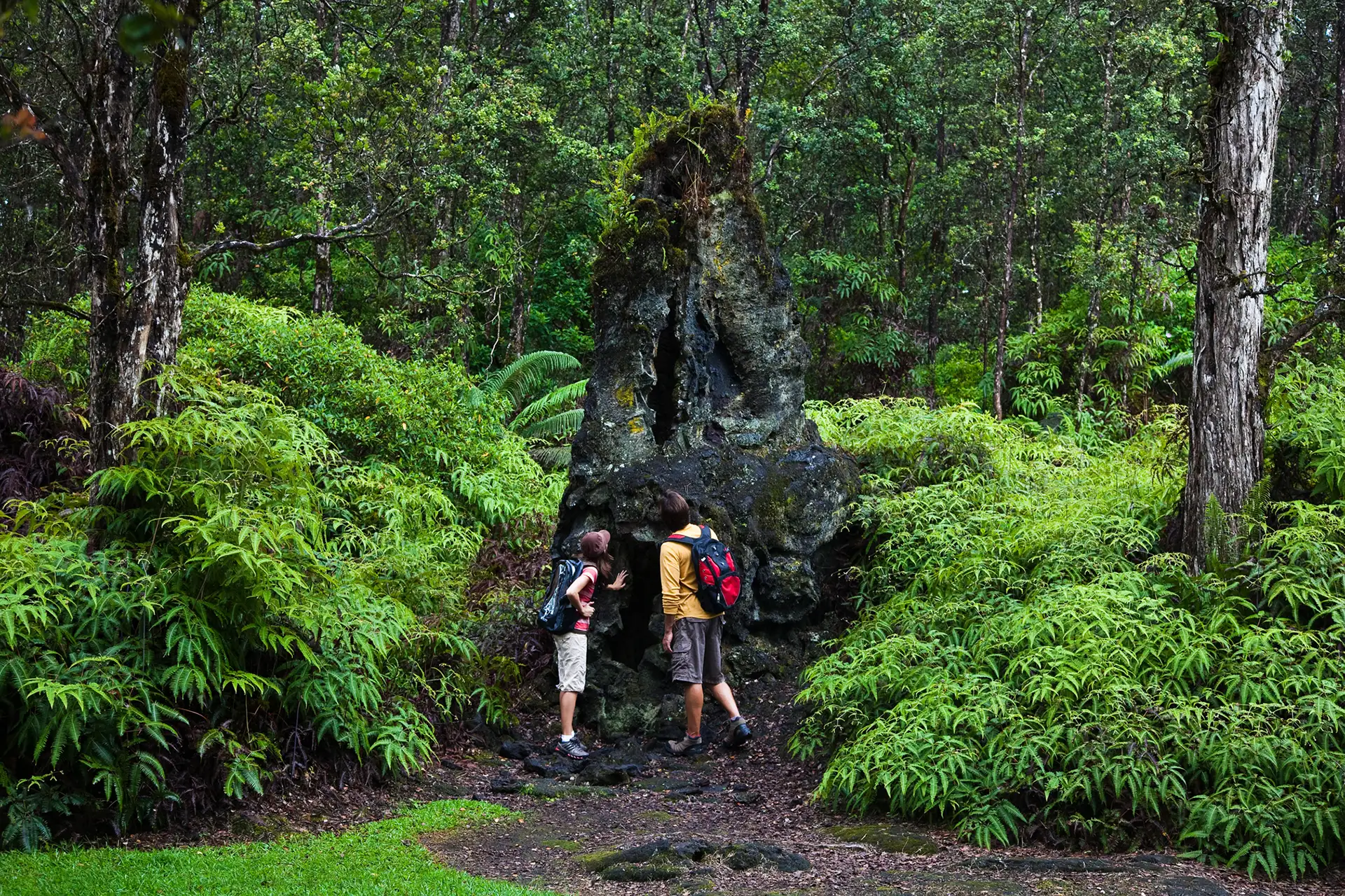 Lava Tree State Park in Hawaii; Courtesy of Hawaii Tourism Authority