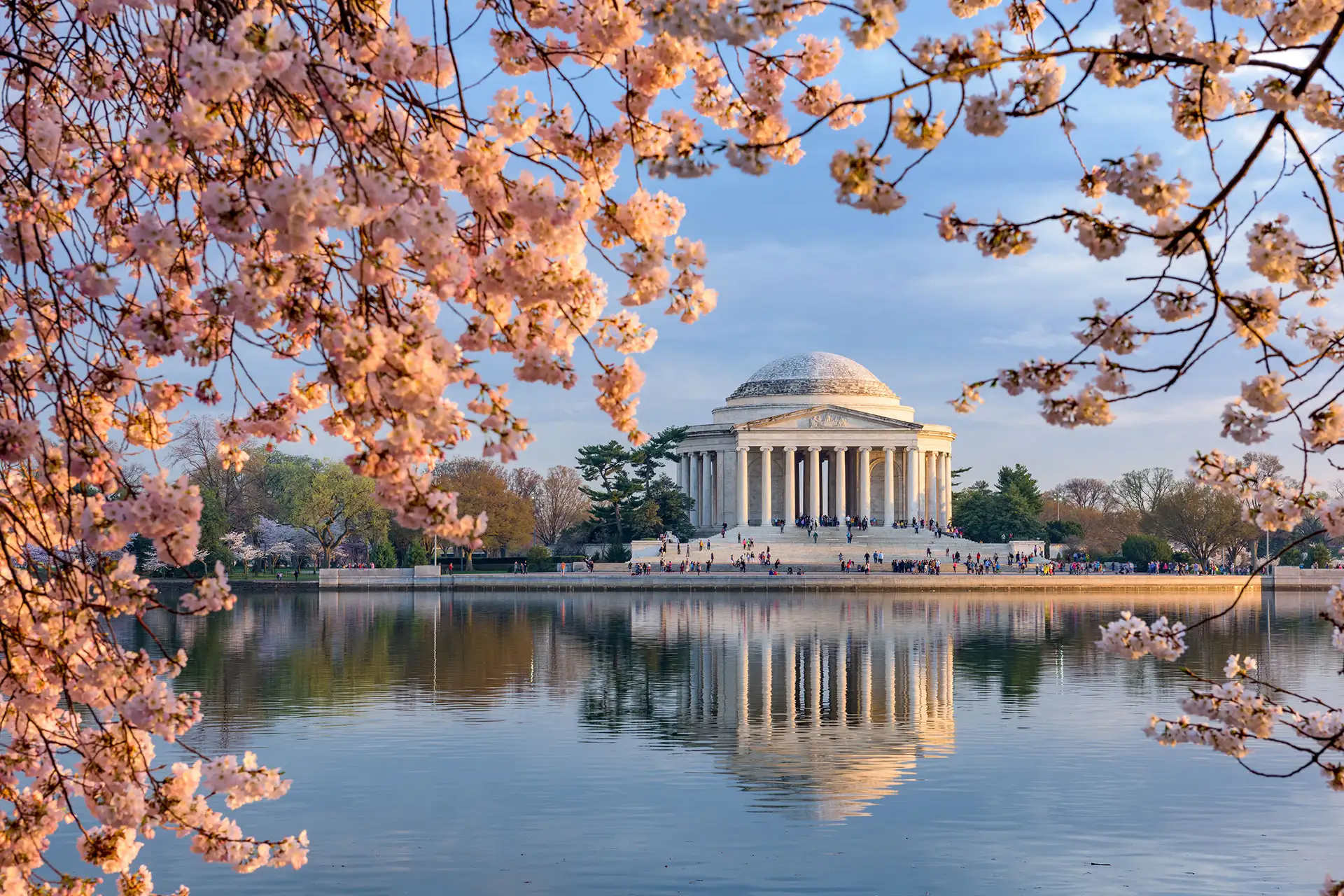 Cherry Blossoms in Washington DC; Courtesy of ESB Professional/Shutterstock.com
