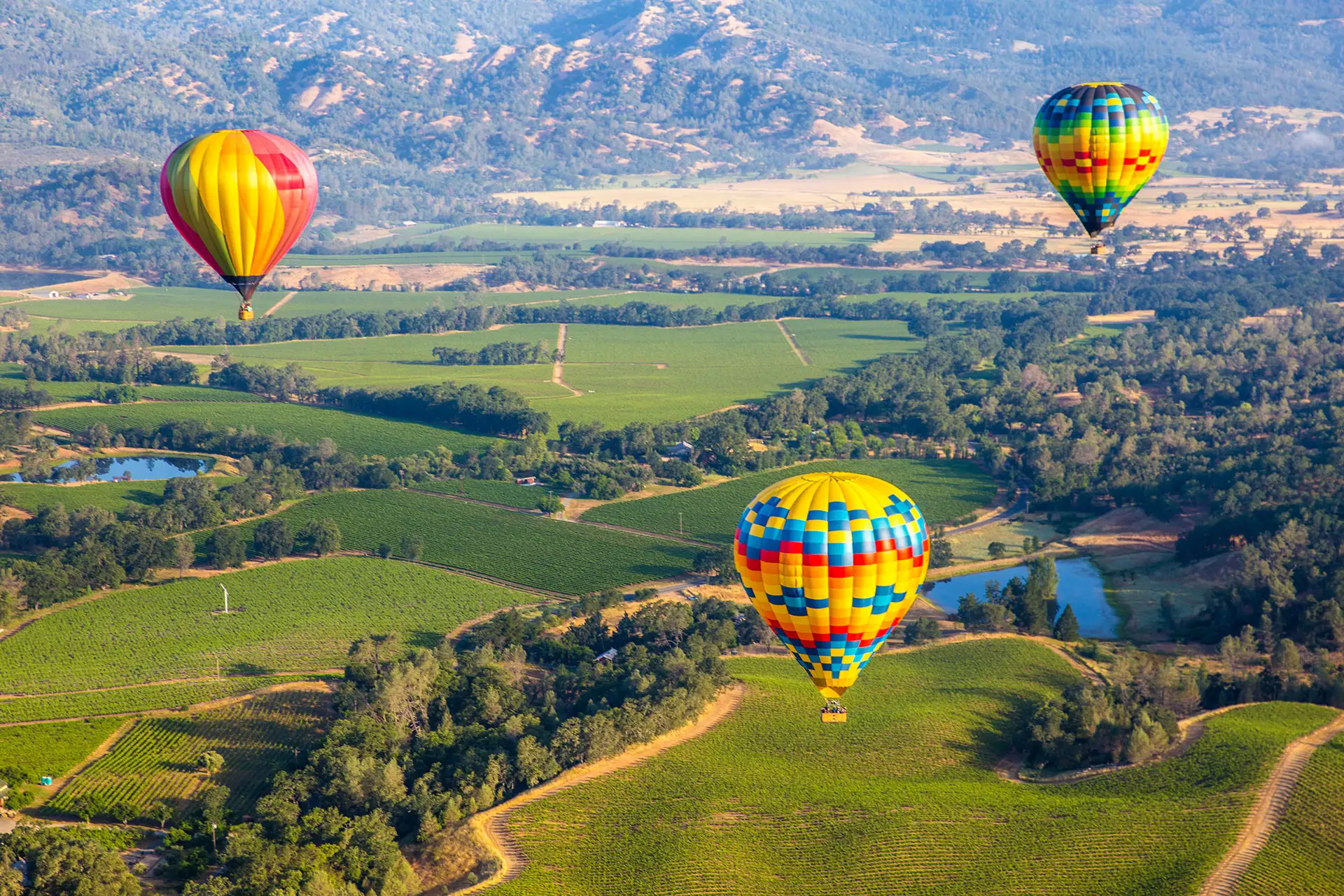Napa Valley, California; Courtesy of cheng/chengShutterstock.com