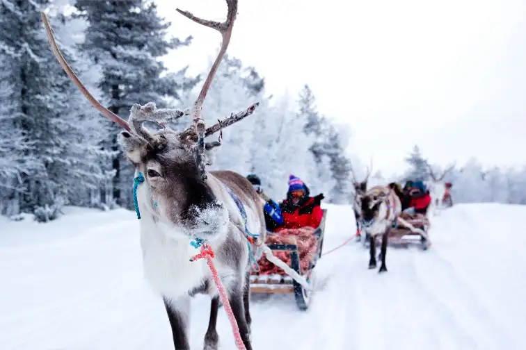 Lapland, Finland; Courtesy of Iris van den Broek/Shutterstock.com