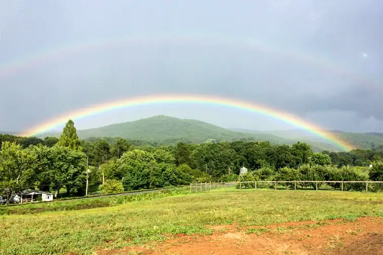 Rainbow over Reece Orchards in Elljay; Courtesy of TripAdvisor Traveler/Laura M