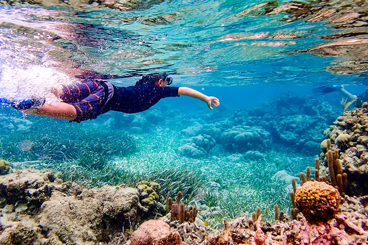 Underwater image of 7 year old boy snorkeling through coral reef near Ambergris Caye, Belize ;Courtesy of Ventu Photo/Shutterstock