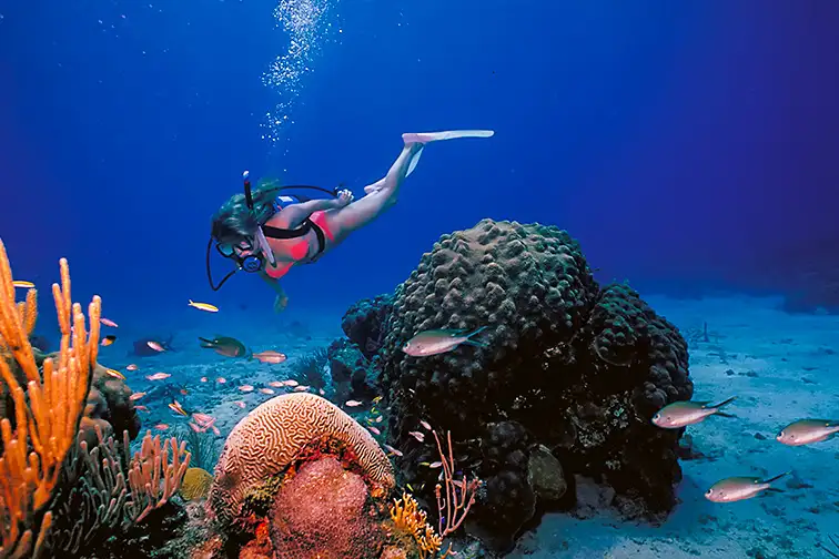 A scuba diving girl in a bikini poses above the coral reef in the warm waters at St. Croix Island in US Virgin Islands.; Courtesy of illstudio/Shutterstock