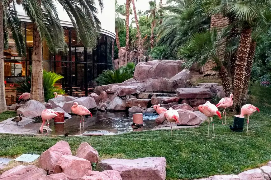 Flamingo Wildlife Habitat ; Courtesy of TripAdvisor traveler/ supertzar666