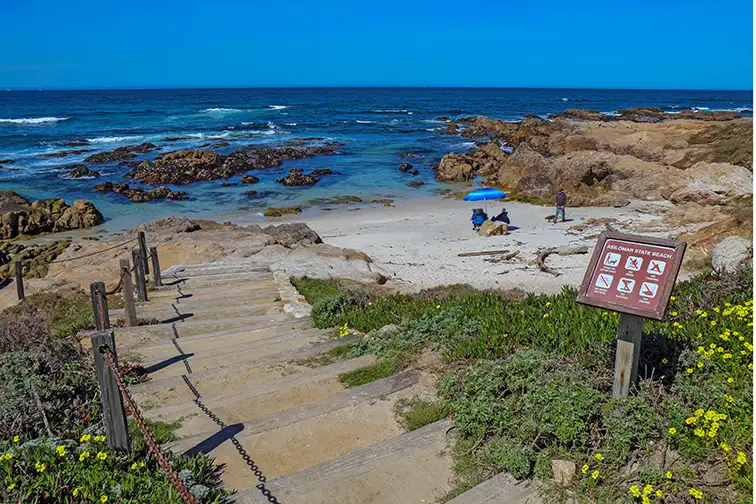 Asilomar State Beach, Monterey Peninsula; Courtesy of Shutterstock