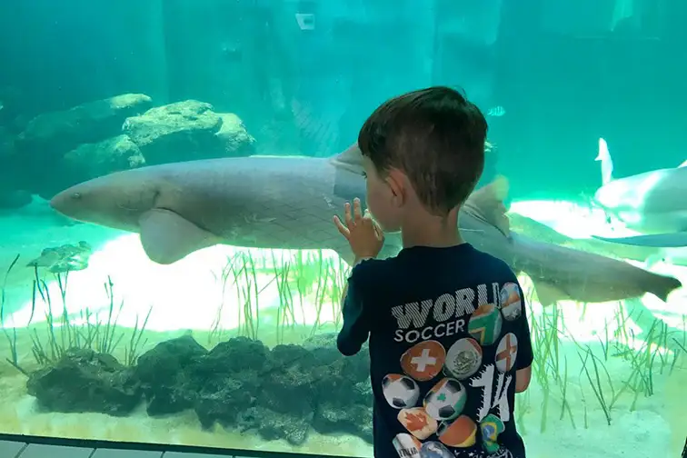 Sarasota, Florida Aquarium; Courtesy of TripAdvisor Traveler/Kelleygirl2