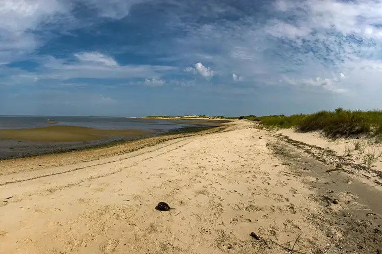 5. Cape Henlopen State Park, Delaware; Courtesy Tripadvisor Traveler/ Warren L