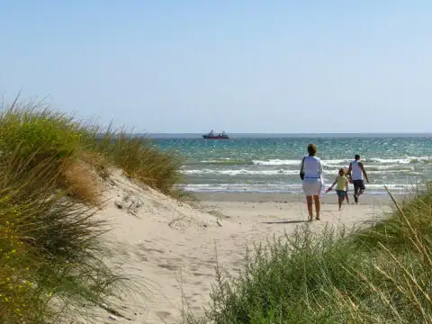 family walking to the beach. sand dunes beach michigan; Courtesy Slniecko/Shutterstock
