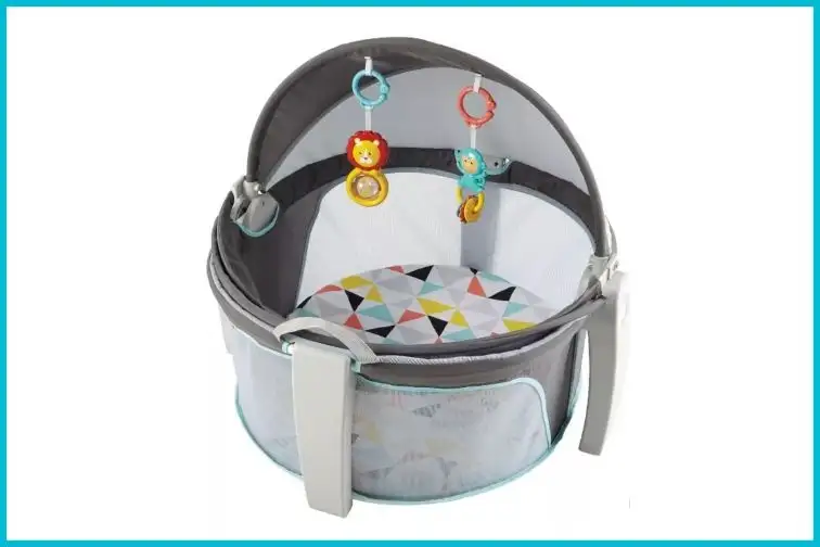 Fisher Price On-the-Go Baby Dome