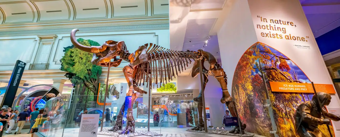 The National Museum of Natural History is a natural history museum administered by the Smithsonian Institution, located on the National Mall.
