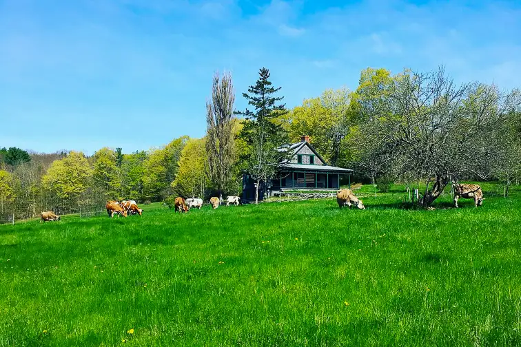 Toddy Pond Farm – Monroe, Maine; Courtesy Toddy Pond Farm