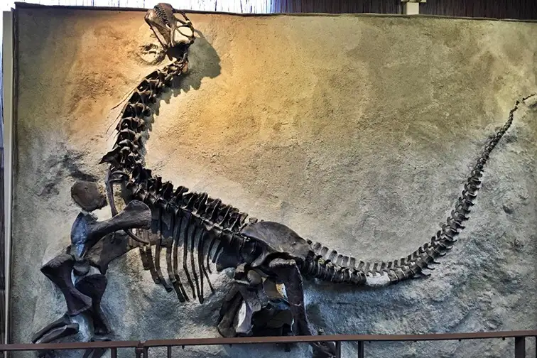 Dinosaur National Monument; Courtesy Tripadvisor Traveler/TravelingDeacon