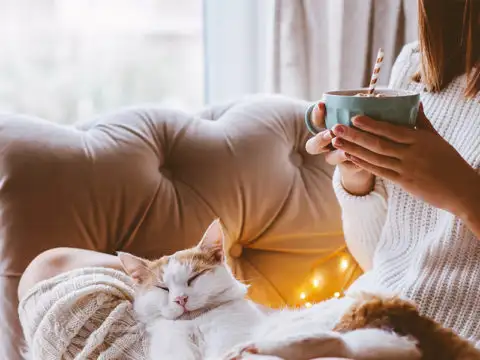 Woman sitting on couch with fuzzy socks, large blanket, a mug, and a cat on her lap